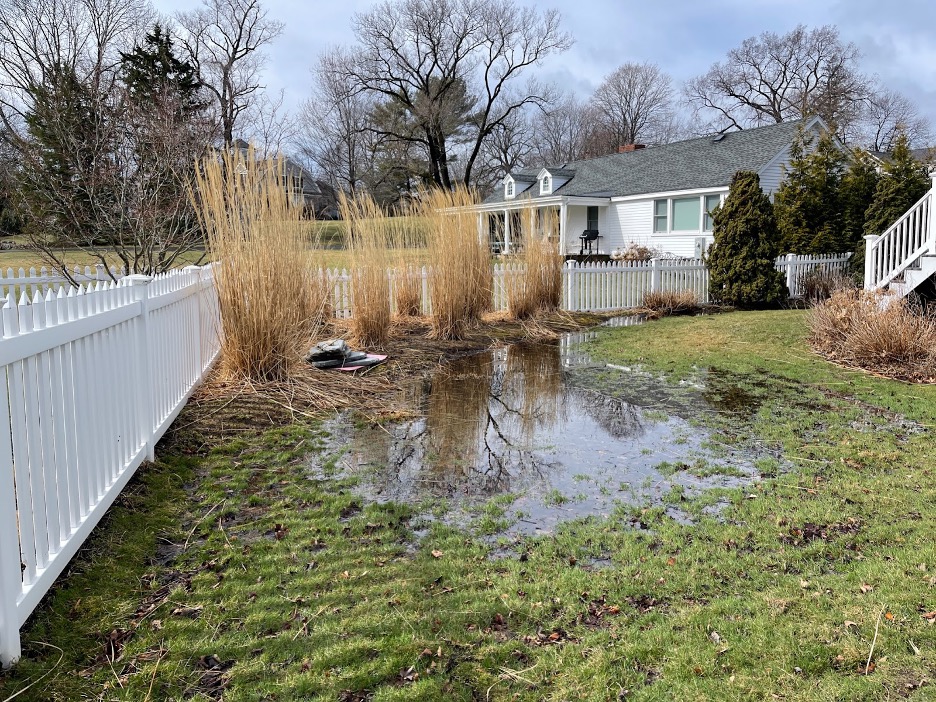 lawn-water-management-swampscott-ma-before