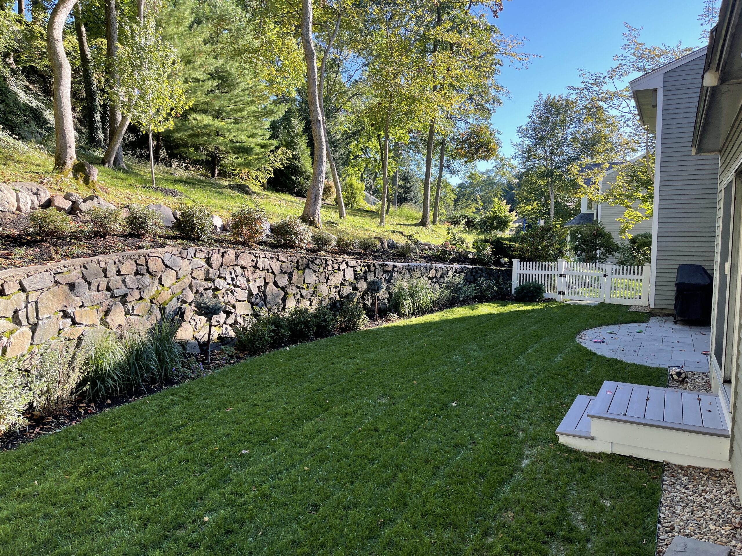 stone wall in a northeastern landscape