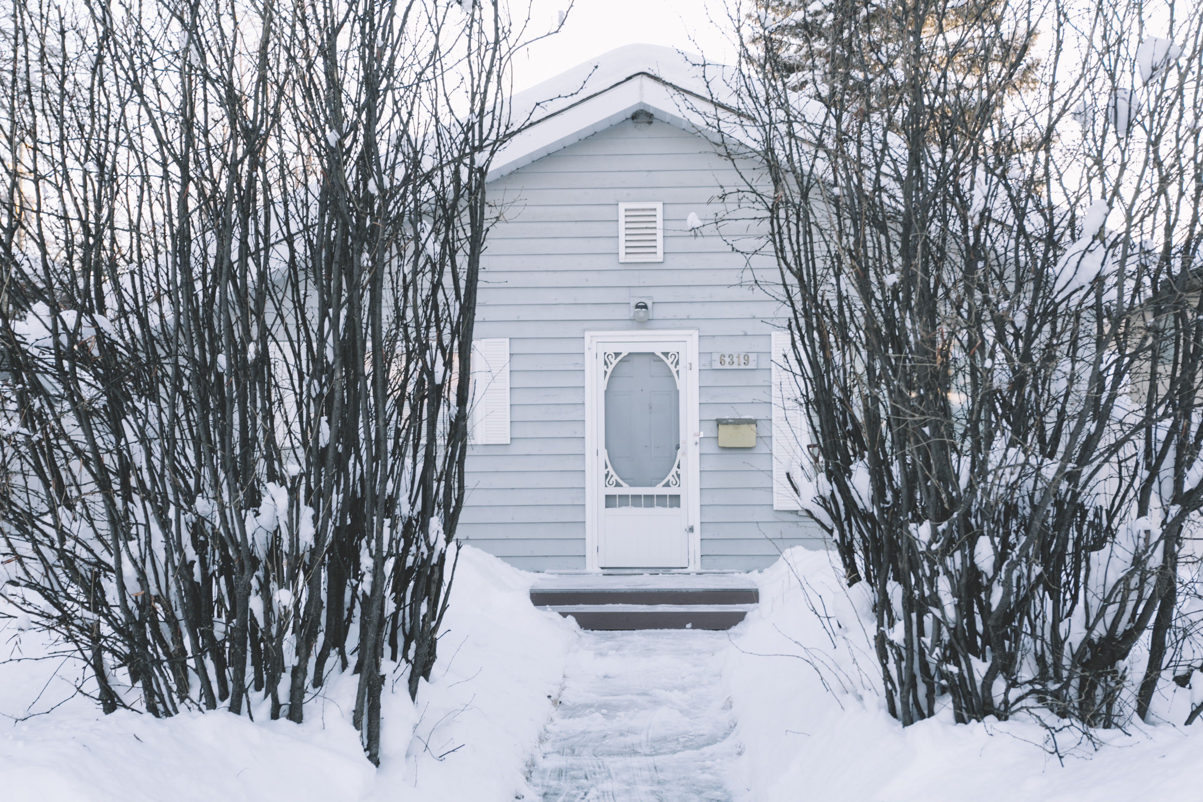 snowy steps and walkway