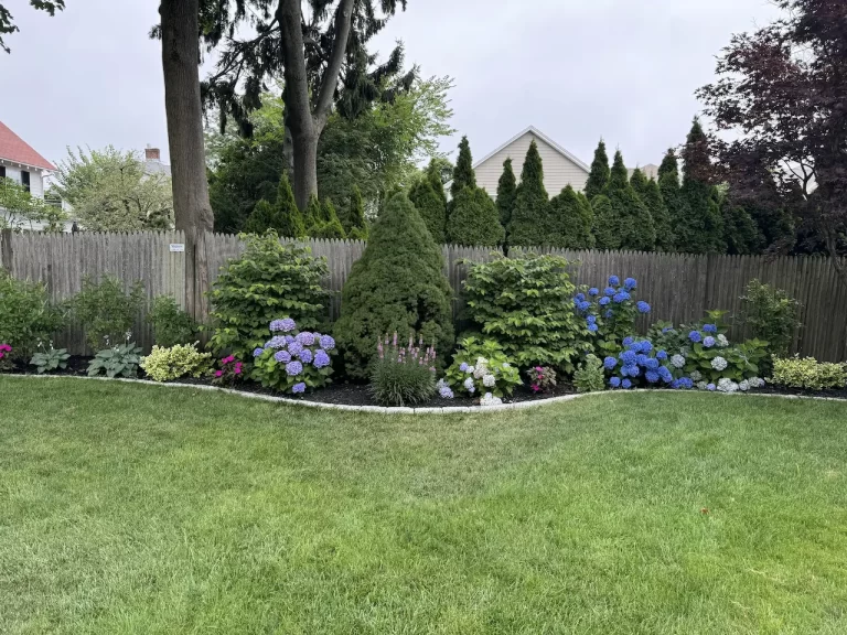 Backyard Hydrangea Landscape Design by Lasana's Landscaping