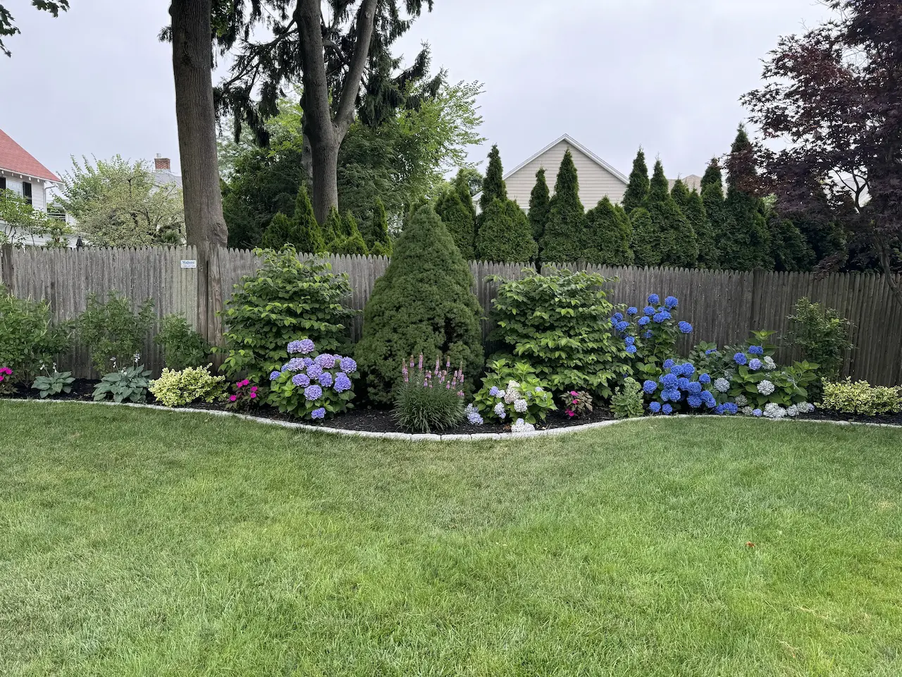 Backyard Hydrangea Landscape Design by Lasana's Landscaping